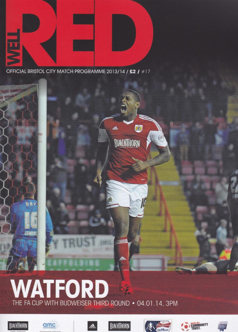BRISTOL CITY v WATFORD 2013/14 (FA CUP)